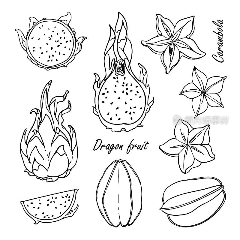 Collection of tropical fruit: starfruit, dragon fruit isolated on white